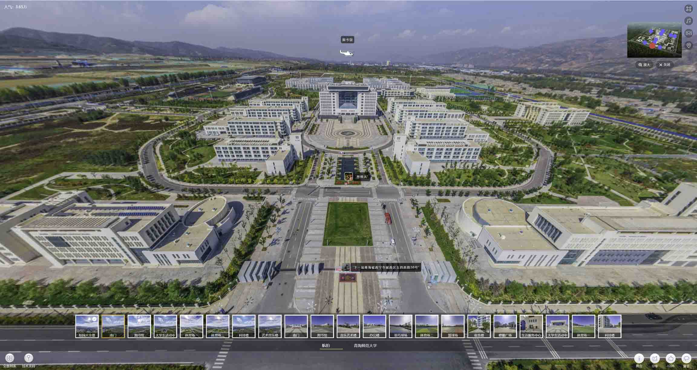 淳化油菜花-惊艳半生的花海仙境